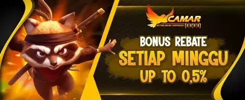 VIP Rebate Slot Game promotion